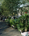 119723 Gezicht op de bloemenmarkt op het Janskerkhof te Utrecht.